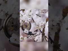 Lily Rose Osmanthus denti dentifricio sbiancante in imballaggio in carta bianca da 400 g