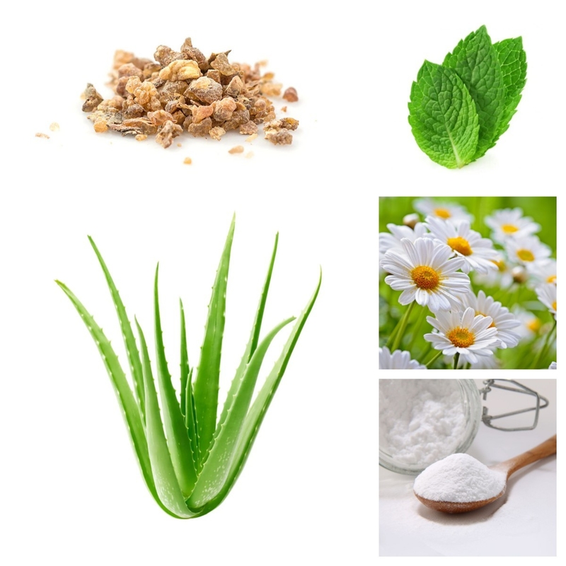 I denti di igiene orale che imbiancano i dentifrici in pasta si dirigono l'aloe naturale Vera dell'estratto della camomilla di Pearl White