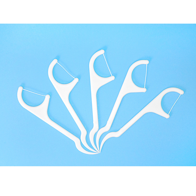 Prezzo di fabbrica Cura orale Eco-friendly Advanced Clean Toothpick Dental Flosser Pick Per uso domestico Viaggi Hotel