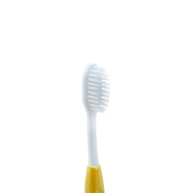 Ingrosso Personalizzazione Viaggi per adulti Casa Hotel Plastico Soft Bristle Spazzolino per uso domestico In Blister Card