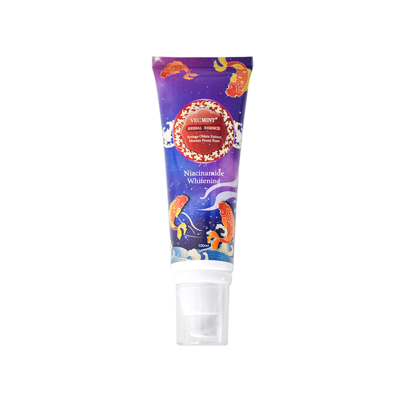 VECMINT ERBAL ESENCE Niacinamide dentifricio sbiancante 100g per denti sani vendita a caldo Fabbrica consegna diretta
