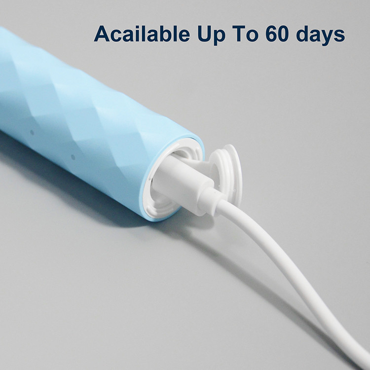 Interruttore a chiave d'imbiancatura elettrico dello spazzolino da denti uno godere di 6 tipi DI OEM dello spazzolino da denti di cure odontoiatriche e di azione