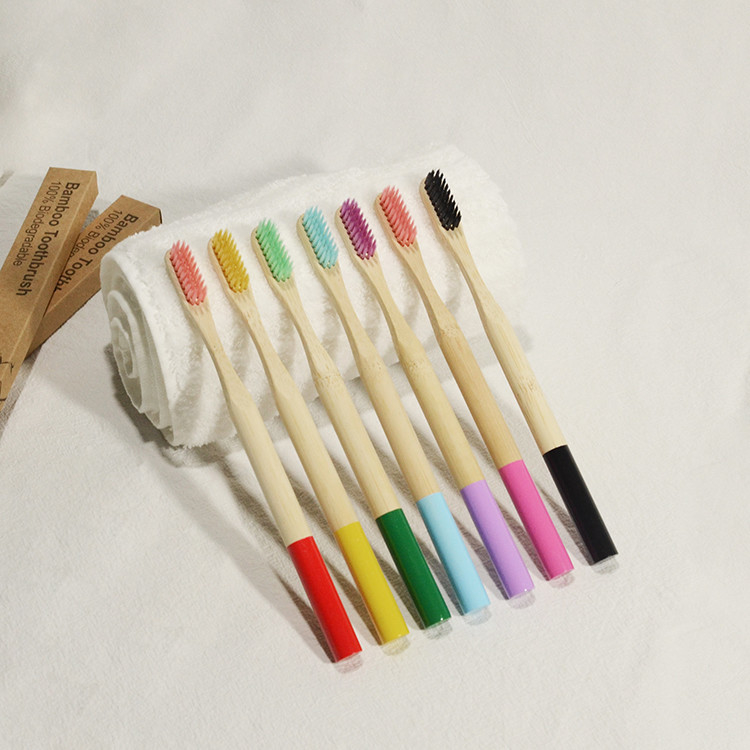 Colore misto di cura degli adulti del vegano dello spazzolino da denti di bambù orale del carbone